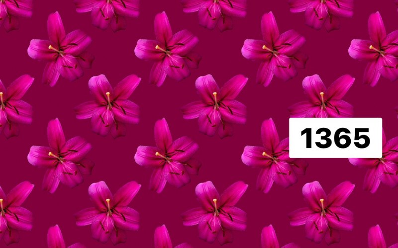 รหัสลายผ้า 1365