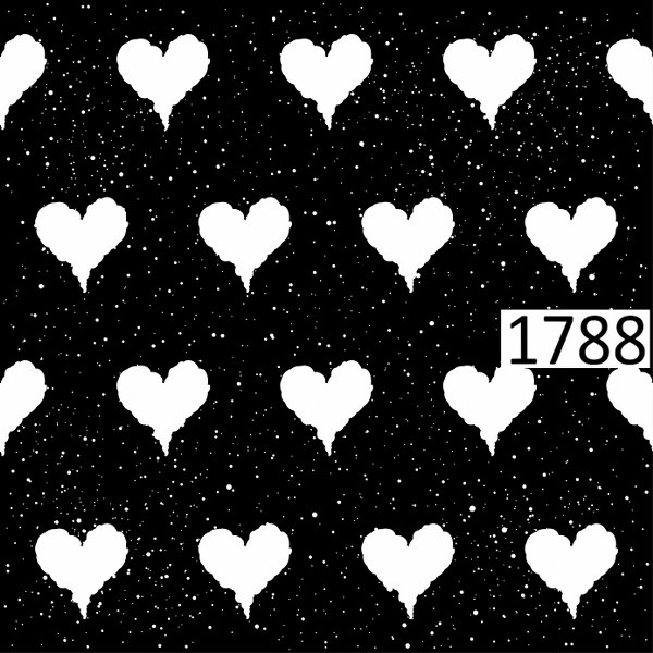 รหัสลายผ้า 1788