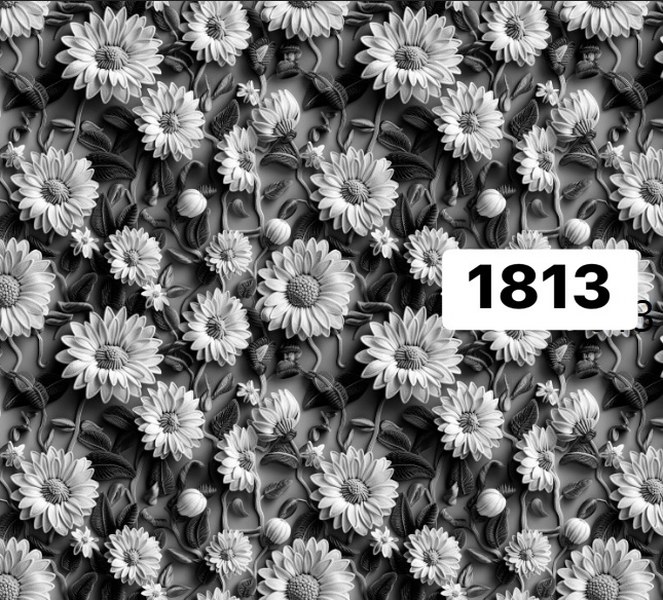 รหัสลายผ้า 1813