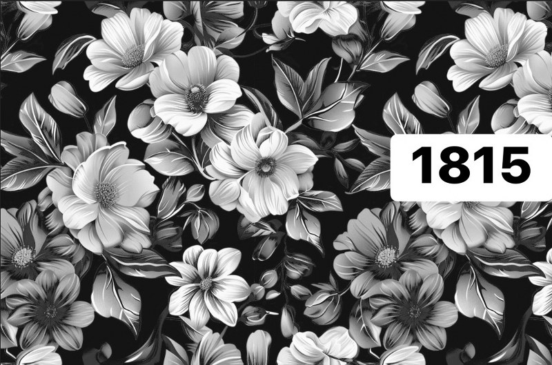 รหัสลายผ้า 1815