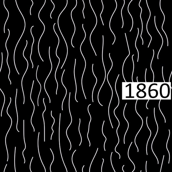 รหัสลายผ้า 1860