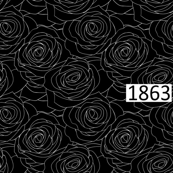 รหัสลายผ้า 1863