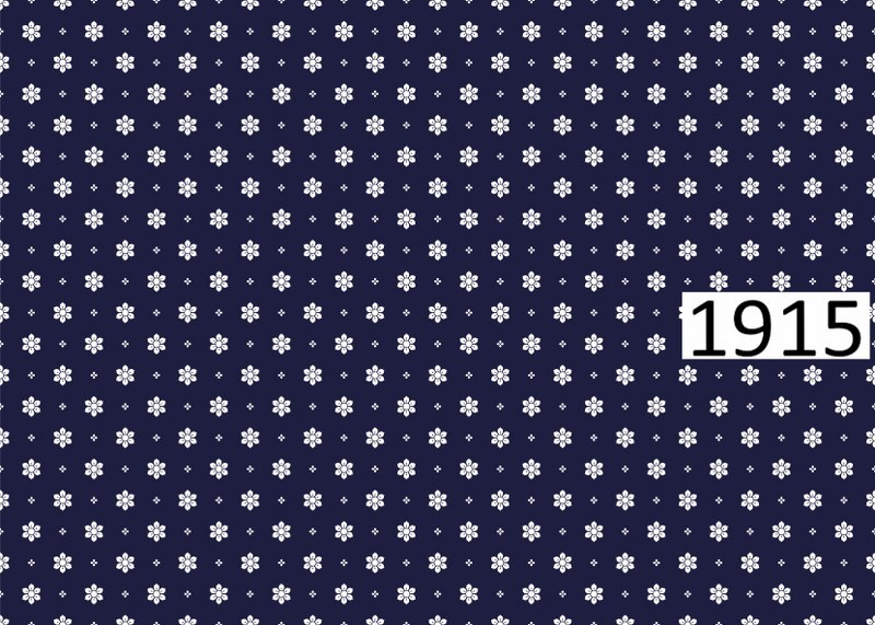 รหัสลายผ้า 1915