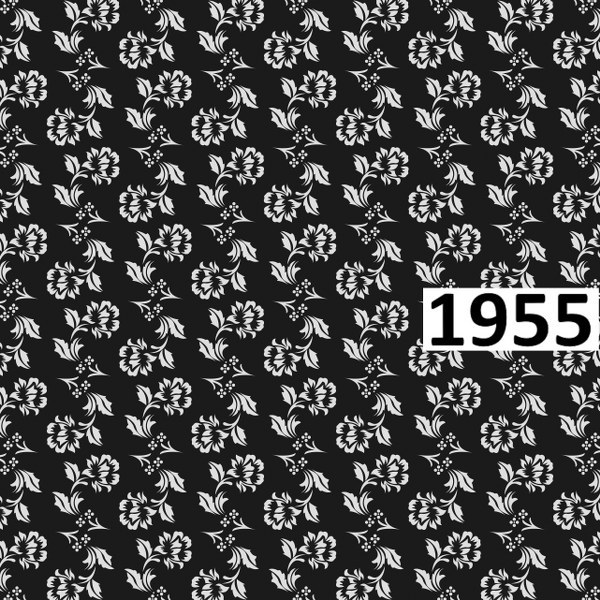 รหัสลายผ้า 1955