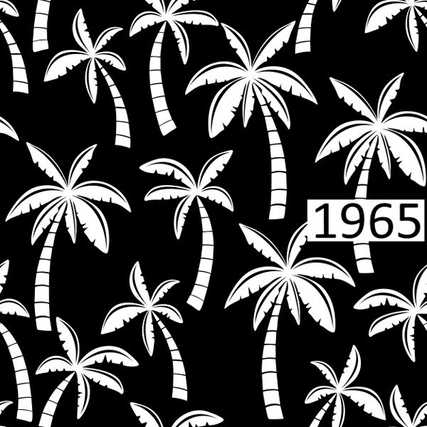 รหัสลายผ้า 1965