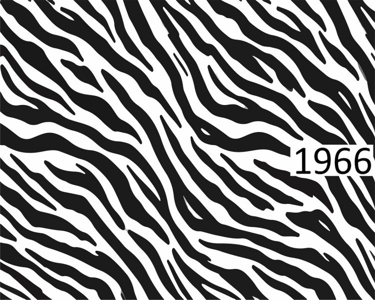 รหัสลายผ้า 1966