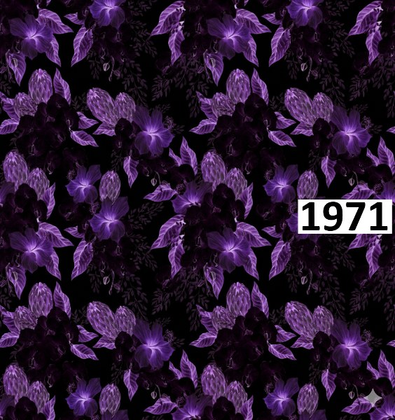 รหัสลายผ้า 1971