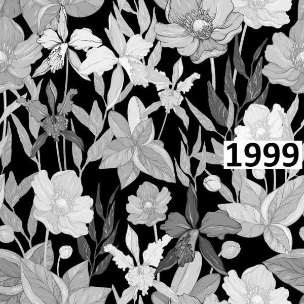 รหัสลายผ้า 1999