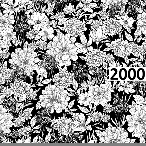 รหัสลายผ้า 2000