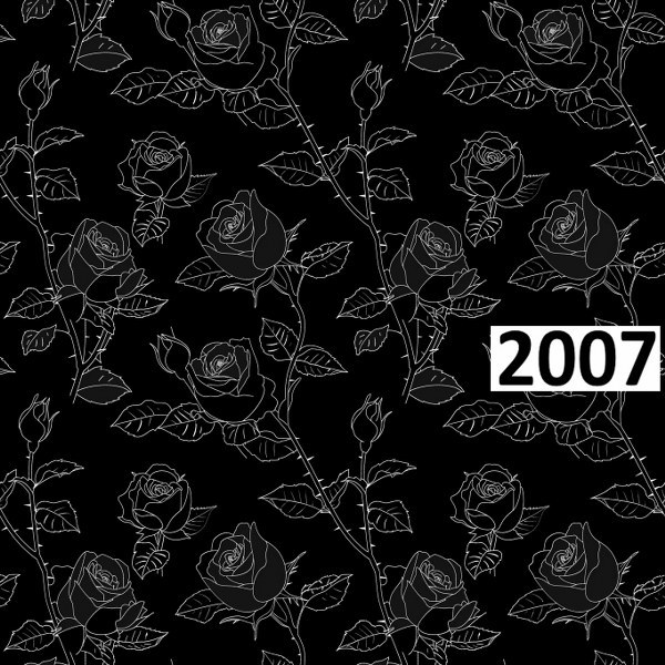 รหัสลายผ้า 2007
