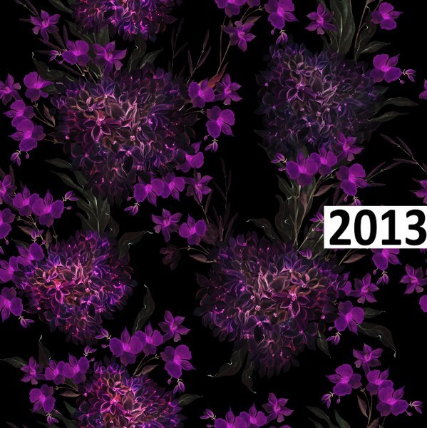 รหัสลายผ้า 2013