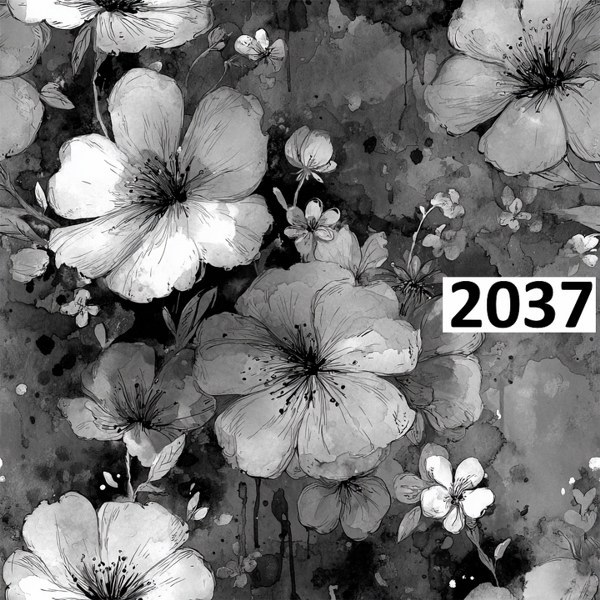 รหัสลายผ้า 2037