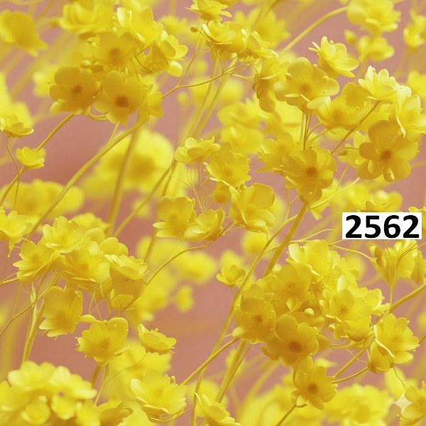 รหัสลายผ้า 2562