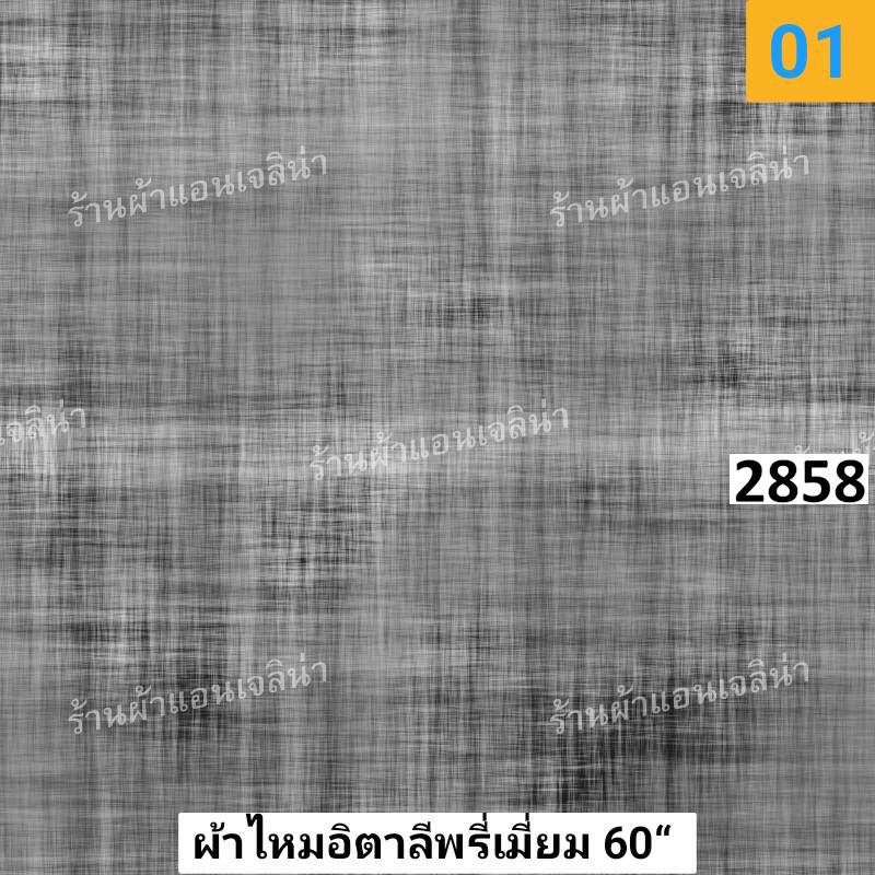 รหัสลายผ้า 2858