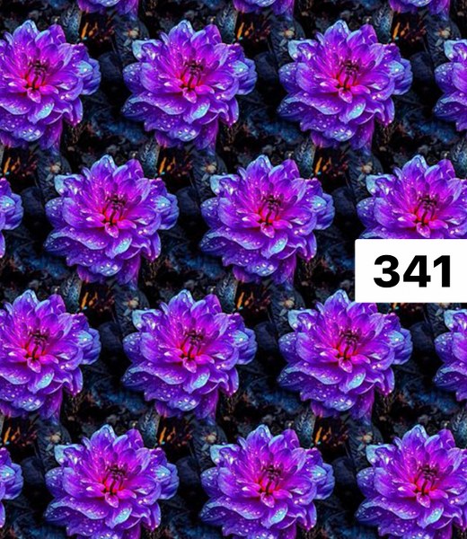 รหัสลายผ้า 341